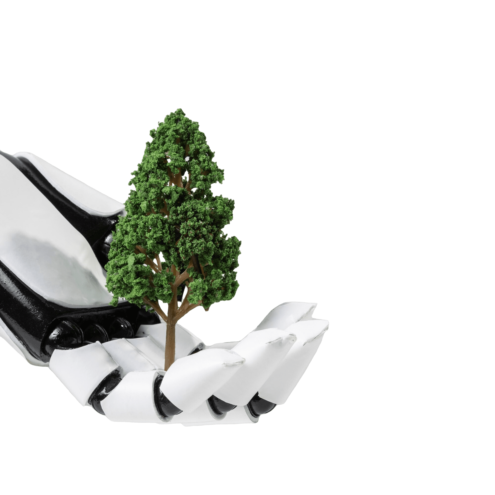 environment-education-day-concept